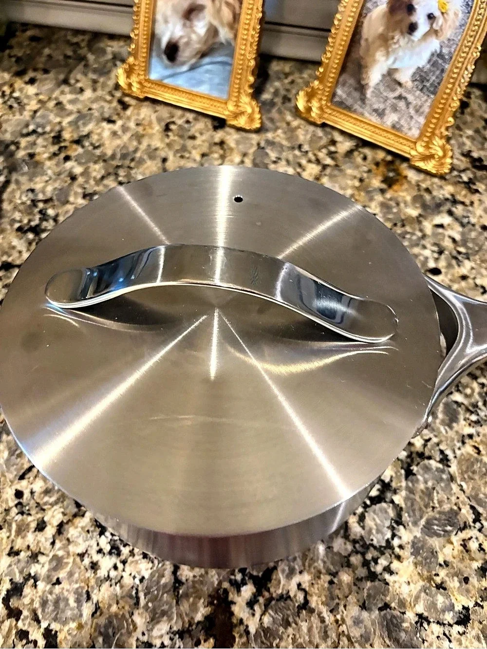 Caraway 3 Qt Sauce Pan Stainless Steel with Lid